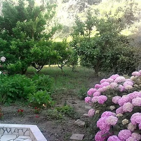 Apartman Apartment Rab Town