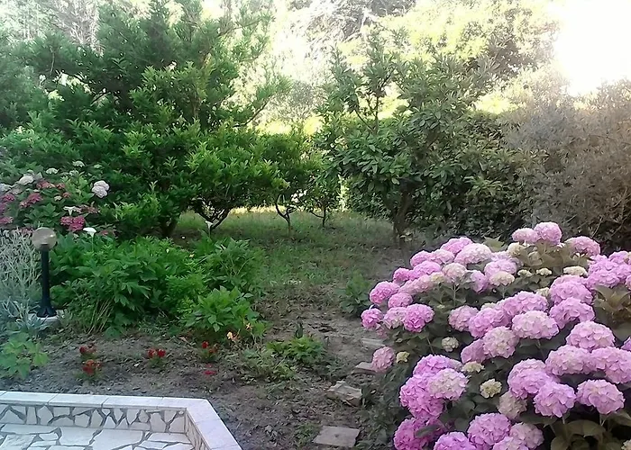 아파트 Apartment 라브