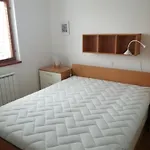 Apartman Apartment *