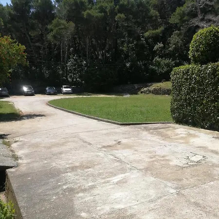Apartament Apartment