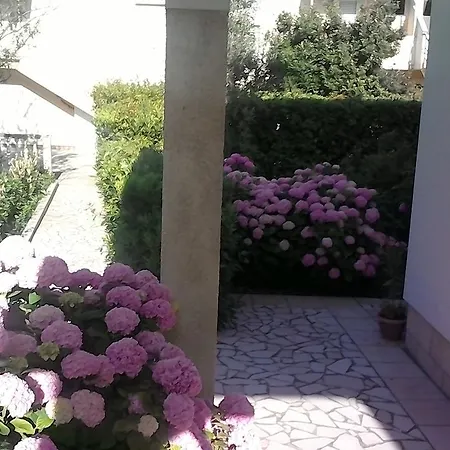 Apartment Appartement